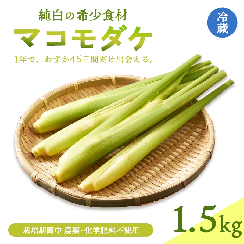 マコモダケ 1.5kg | 綾部市産 マコモダケ 栽培期間中農薬不使用 選べる容量