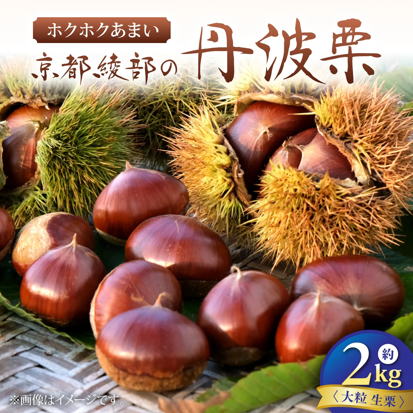丹波栗 約2kg（生栗） / 栗 フルーツ ギフト 綾部市 / 旭町観光栗林園［BSBP002］