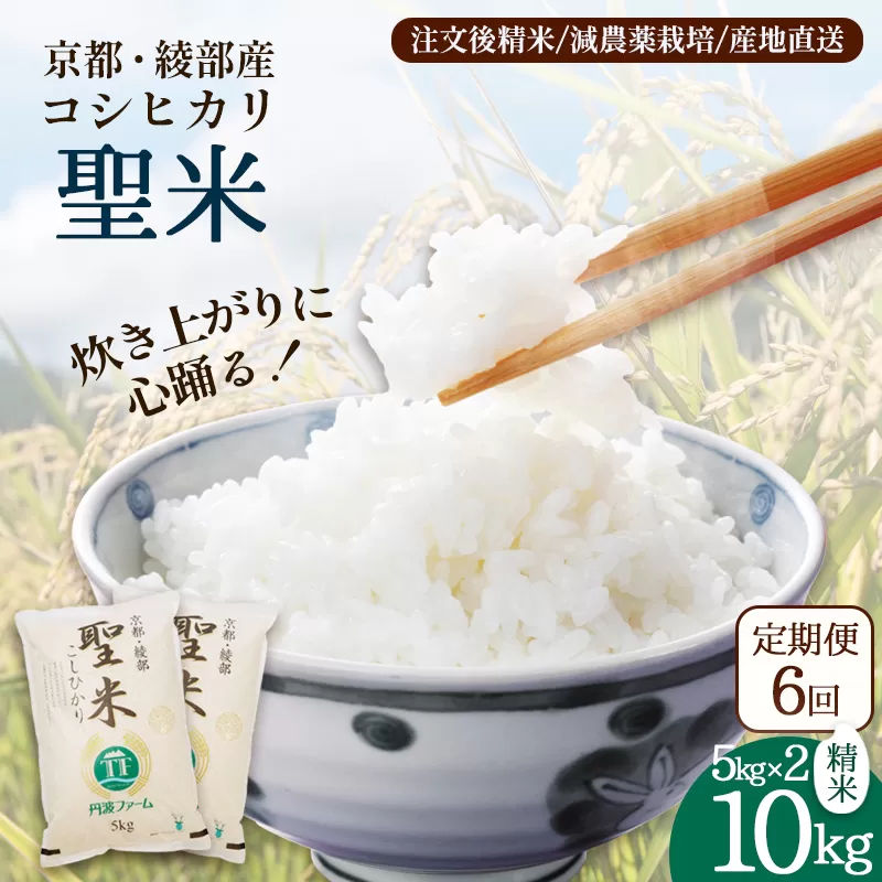 【定期便6回】聖米(白米) 10kg（5kg×2）×6回 / 米 白米 定期便 綾部市 / 有限会社カメイ［BSDY070］