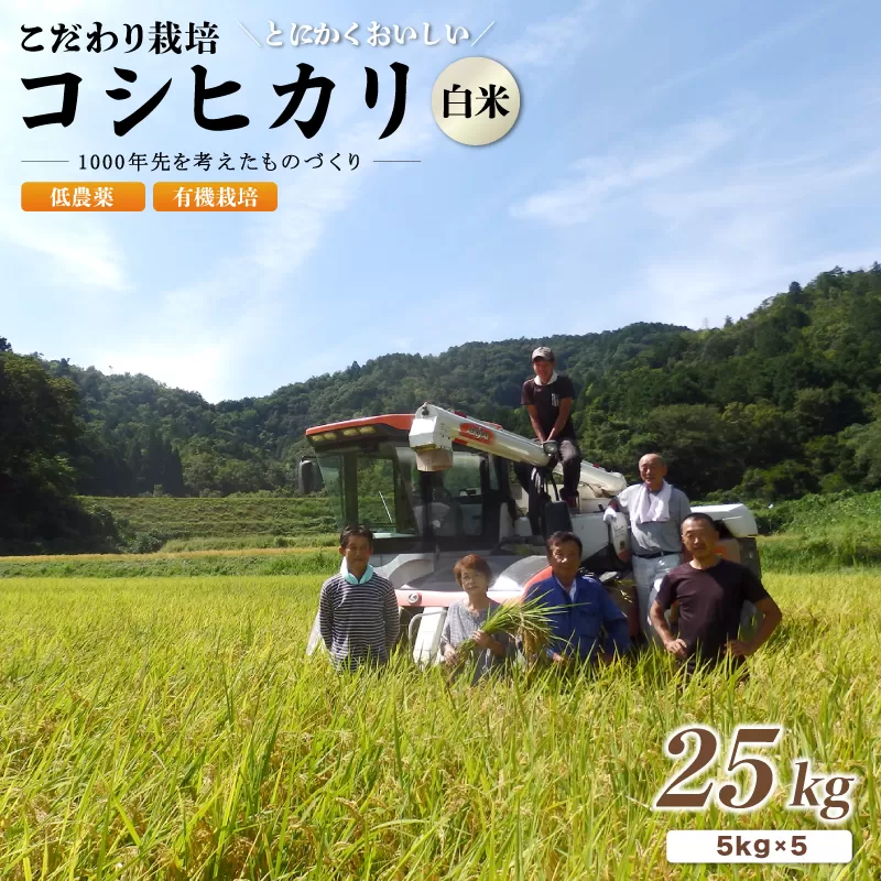 【令和7年度産】 京都府産 低農薬 有機栽培コシヒカリ25kg / 米 お米 有機栽培 綾部市 / かかりつけ米農家　井上吉夫［BSAT060］