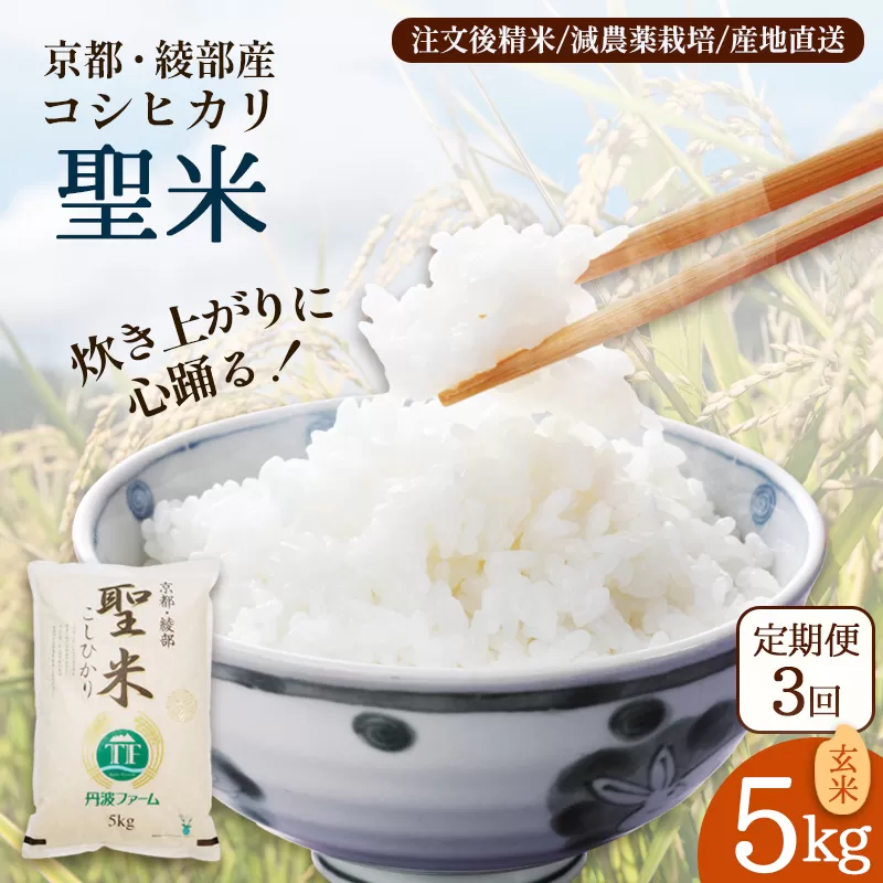【定期便3回】 聖米(玄米) 5kg×3回 | 米 お米 こしひかり 玄米 ごはん おこめ 国産 お米の定期便 京都府 綾部市
