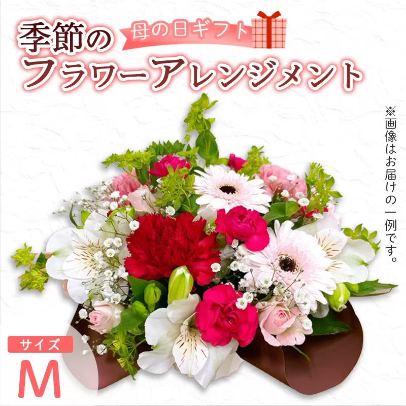 【母の日】 フラワーアレンジメント（M） | 花 お花 生花 フラワー フラワーアレンジメント 花束 母の日限定 母の日ギフト 配送地域限定 京都府 綾部市
