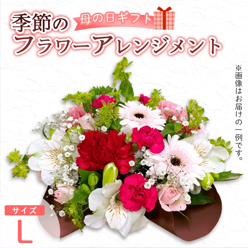 【母の日】 フラワーアレンジメント（L） | 花 お花 生花 フラワー フラワーアレンジメント 花束 母の日限定 母の日ギフト 配送地域限定 京都府 綾部市