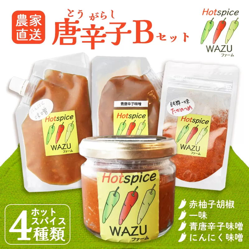 国産 唐辛子 4種セットB（ 赤柚子胡椒 / 一味(鷹の爪) / 青唐辛子味噌 / にんにく味噌 ） 【 農家直送 唐辛子みそ トウガラシ とうがらし 自家栽培 スパイス 詰め合わせ 唐辛子セット 京都 綾部 】 