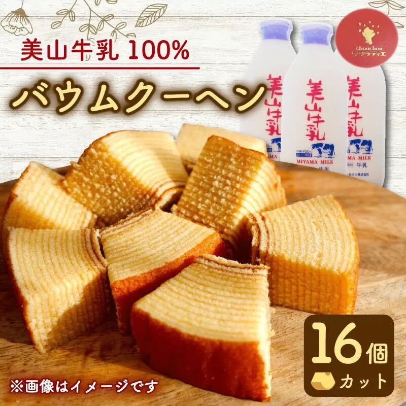 バウムクーヘン 南丹市「美山牛乳」100%使用 【南丹市×綾部市共同開発】 16個 | カット 個包装 小分け バームクーヘン ミルク 牛乳 美山牛乳 こだわり 卵 たまご お菓子 おかし おやつ スイーツ デザート ケーキ バウム 誕生日 菓子 焼き菓子 焼菓子 手焼き 洋菓子 人気 おすすめ 国産 冷蔵 ギフト ギフト用 贈答 贈答用 贈答品 プレゼント 手土産 京都 綾部市 南丹市 京都府 京都 サクラティエ