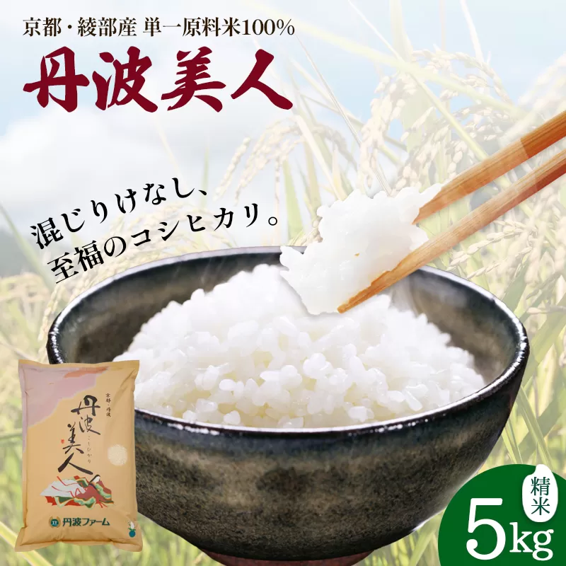 寄附額見直し(2025/12/2~) 令和7年度産 コシヒカリ「丹波美人」白米 5kg お米 米 白米 精米 こしひかり 国産 京都 綾部