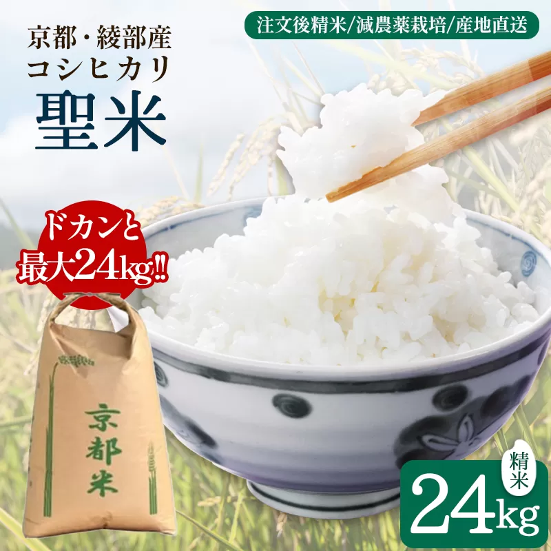 寄附額見直し(2025/12/2~) 令和7年度産 コシヒカリ 「聖米」 白米 24kg 業務用 お米 米 白米 精米 こしひかり 国産 京都 綾部