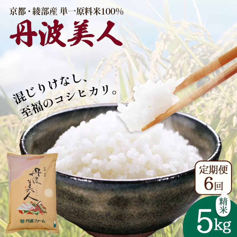 【定期便6回】丹波美人 白米 5kg×6回 / 米 白米 定期便 綾部市 / 有限会社カメイ［BSDY053］