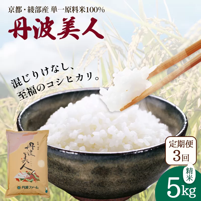【定期便3回】 丹波美人 白米 5kg×3回 | 米 お米 こしひかり 白米 精米 ごはん おこめ 国産 お米の定期便 京都府 綾部市
