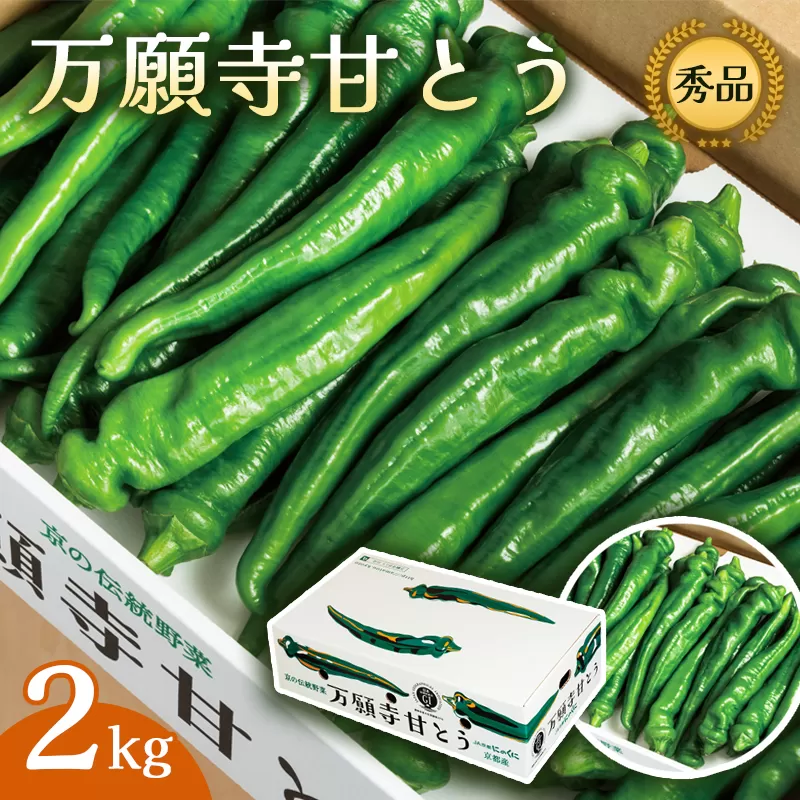 万願寺甘とう 秀品 2kg 【 肉厚 ジューシー 辛くない 唯一の京野菜 国産 旬 季節の野菜 詰め合わせ 京のブランド産品 京野菜 万願寺 野菜 夏野菜 化粧箱 地場野菜 お土産 手土産 JA 京都 綾部 】