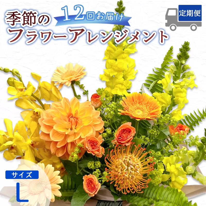 【12回定期便】 季節のフラワーアレンジメント （L） | 発送月固定 花 お花 生花 フラワー フラワーアレンジメント 花束 花の定期便 定期便 12回 配送地域限定 京都府 綾部市