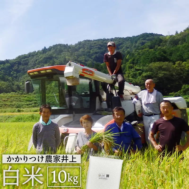 　低農薬 有機栽培 コシヒカリ 白米10kg こしひかり 米 お米 綾部産 綾部市 京都 農家直送 井上吉夫 米農家 低農薬有機栽培米