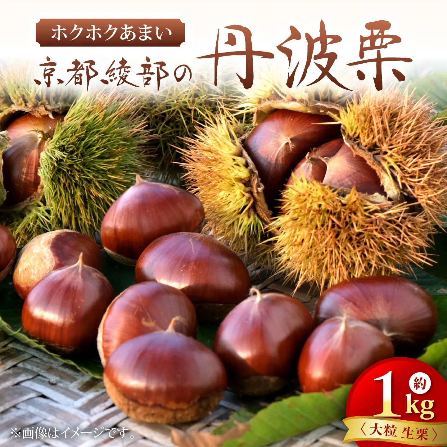 丹波栗 約1kg（生栗） / 栗 フルーツ ギフト 綾部市 / 旭町観光栗林園［BSBP001］