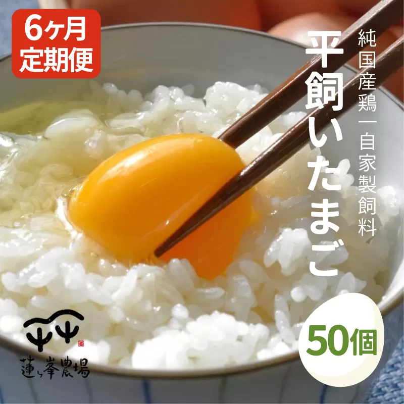 【定期便】 平飼いたまご 50個×6ヶ月間 【 卵定期便 たまご定期便 平飼い卵 非遺伝子組み換え 自家配合 たまご タマゴ 平飼い 卵 国産 純国産鶏 もみじの平飼い卵 京都奥丹波 綾部 京都 蓮ヶ峯農場 】