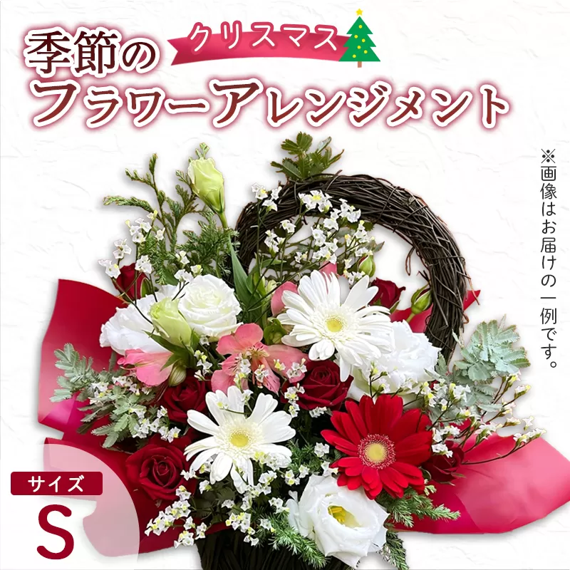 [クリスマス] フラワーアレンジメント(S) | 花 お花 生花 フラワー フラワーアレンジメント 花束 クリスマス限定 配送地域限定 京都府 綾部市