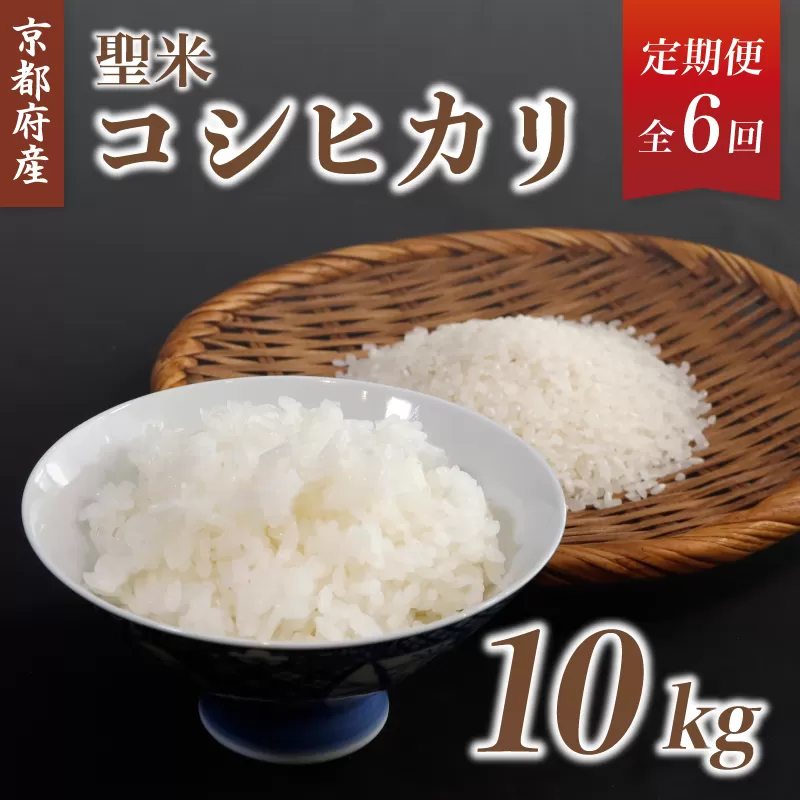 【6回毎月定期便】京都府産 コシヒカリ「聖米」白米10kg 令和7年度産 【 お米 米 白米 精米 こしひかり 国産 選べる 定期便 毎月発送 京都 綾部 】