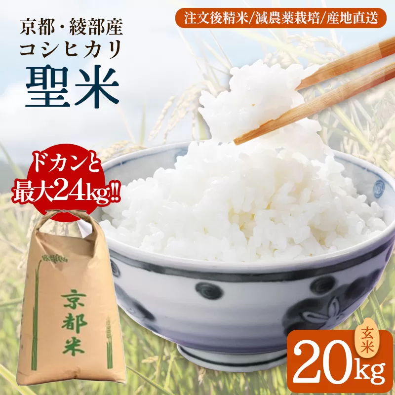 業務用 京都府産コシヒカリ 聖米 玄米20kg【米 お米 玄米 京都府産 ごはん こめ 国産 20キロ 大容量 まとめ買い 京都府 京都 綾部市 】