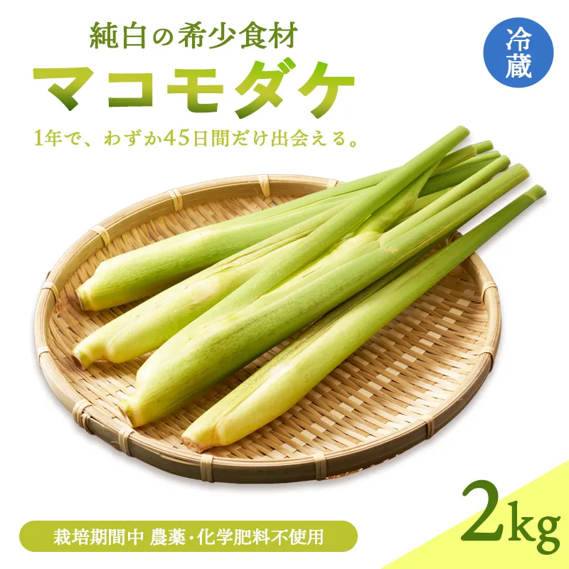 マコモダケ 2kg | 綾部市産 マコモダケ 栽培期間中農薬不使用 選べる容量