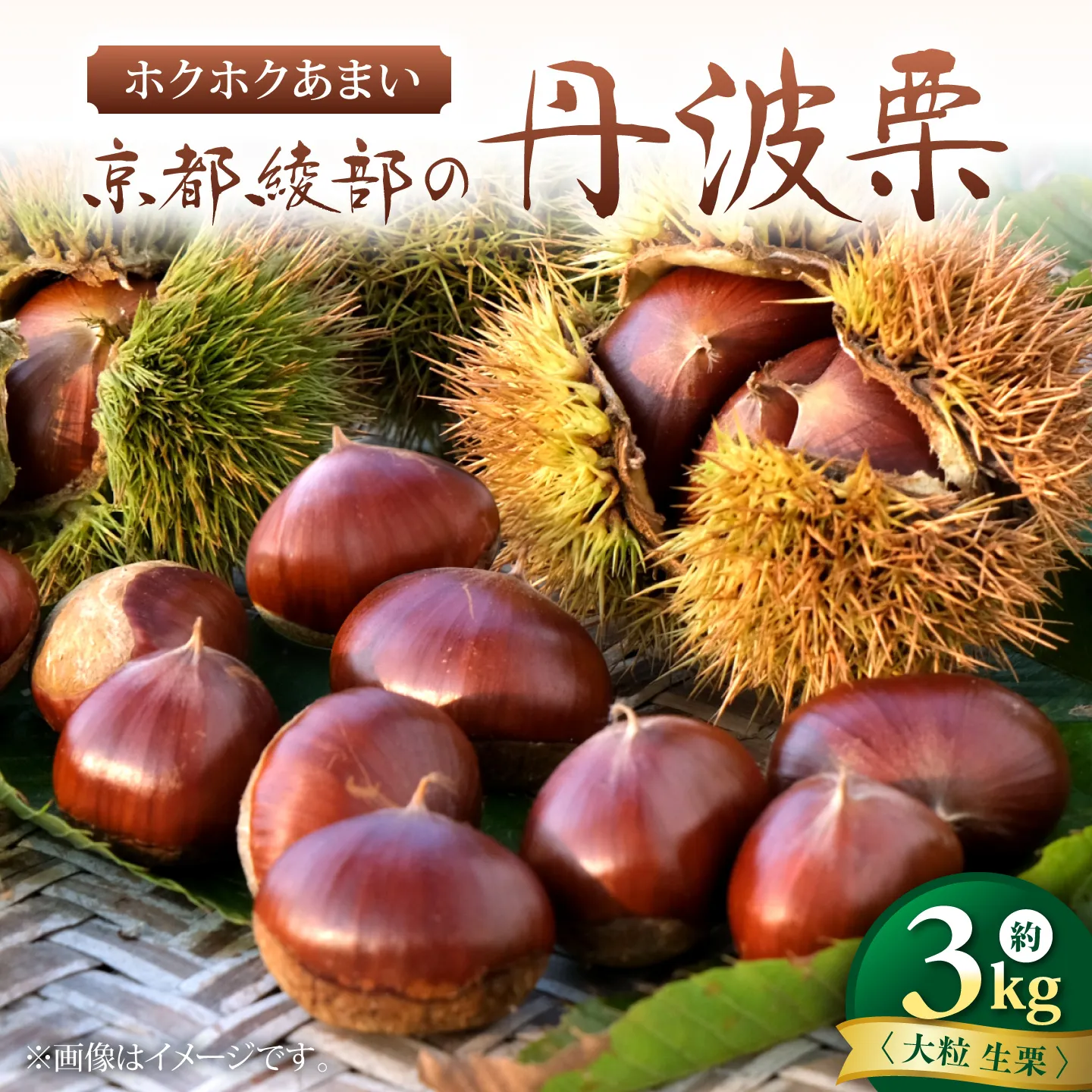 丹波栗 約3kg（生栗） / 栗 フルーツ ギフト 綾部市 / 旭町観光栗林園［BSBP003］