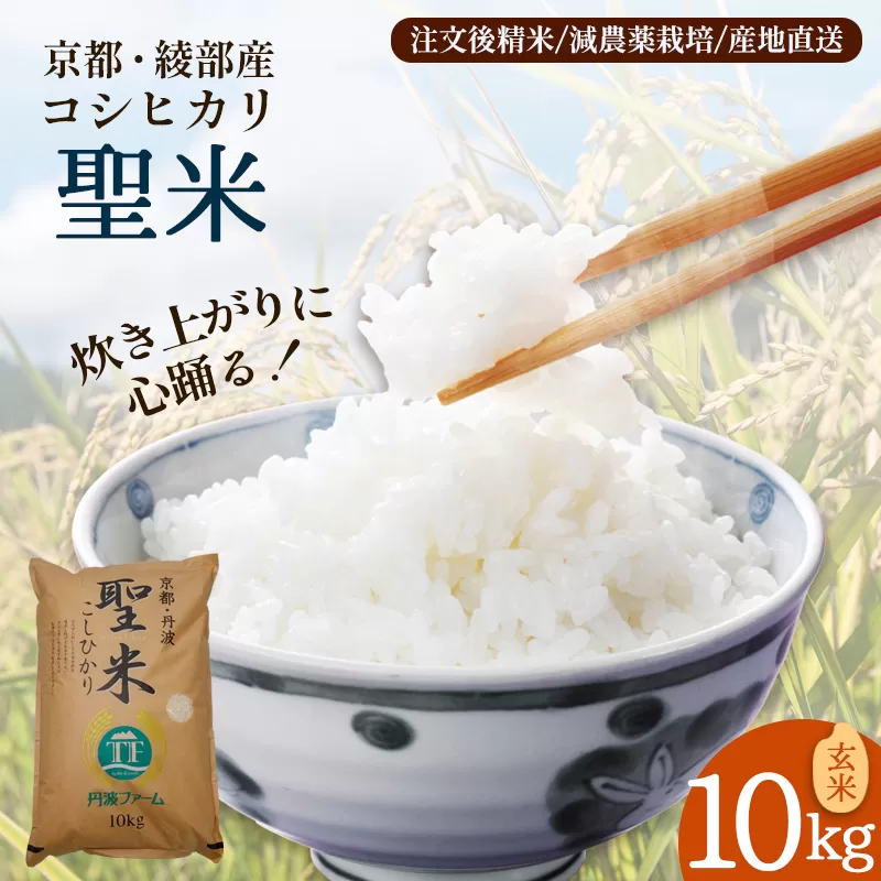 「聖米」 玄米 10kg | 米 お米 こしひかり 玄米 ごはん おこめ 国産 京都府 綾部市