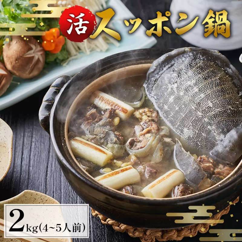綾部で育てた！！スッポン鍋 約2kg 4〜5人前 活スッポン 健康 スッポン スッポン鍋 スッポン鍋セット 珍しい 京都 綾部