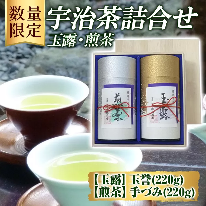 ＜数量限定＞宇治茶 玉露「玉誉」・煎茶「手づみ」詰合せ(220g×各1缶) 京都府 宇治市 京都 宇治 お茶 茶葉 煎茶 玉露 お土産 ギフト 贈答 【uj-FO001】【北岡園】