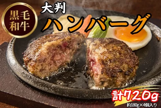 黒毛和牛ハンバーグ(計720g・180g×4個) 特産品 ハンバーグ ハンバーグステーキ 黒毛和牛 [uj-DW001][高見牧場直売店 Meat&Fresh TAKAMI]