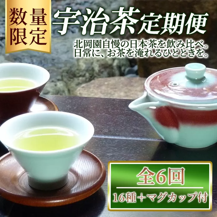 ＜数量限定＞＜定期便・全6回＞北岡園おすすめ茶セット(16種＋マグカップ付) 京都 宇治 お茶 茶葉 煎茶 玉露 ほうじ茶 雁金 かりがね 玄米茶 フィルターインマグ マグカップ 飲み比べ【uj-FO005】【北岡園】