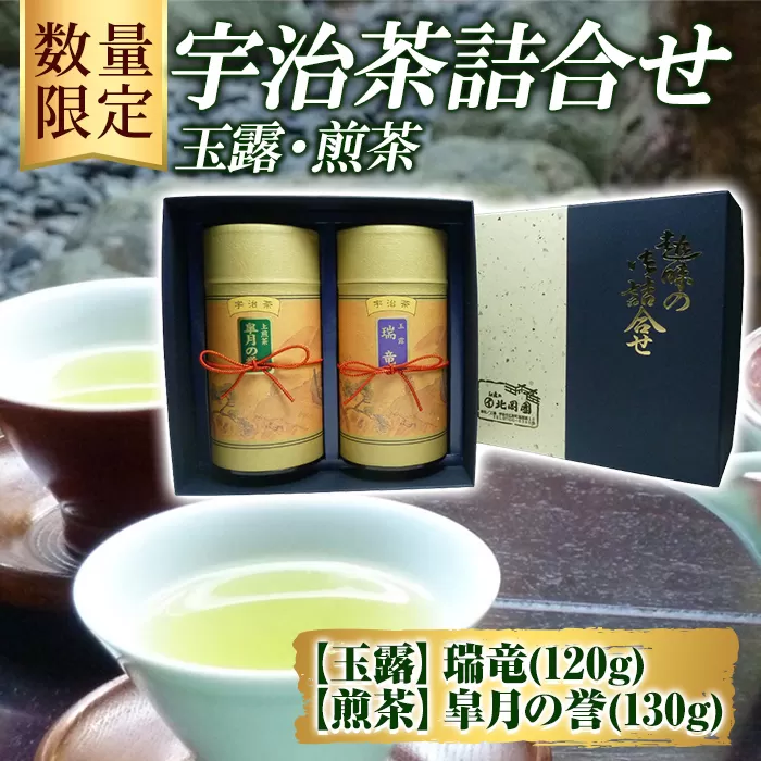 ＜数量限定＞宇治茶 玉露「瑞竜」・煎茶「皐月の誉」詰合せ(2種・各1) 京都府 宇治市 京都 宇治 お茶 茶葉 煎茶 玉露 お土産 ギフト 贈答 【uj-FO002】【北岡園】