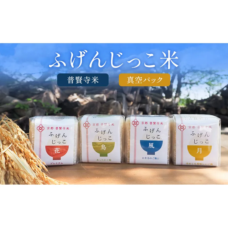 ふげんじっこ米 お米 真空パック 