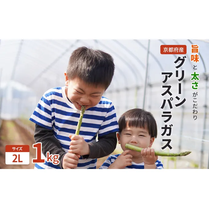 旨味と太さがこだわり！京都府産グリーンアスパラガス 野菜 鮮度バツグン 2Lサイズ 