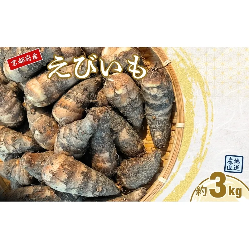 えびいも 選べる容量 3kg 5kg 京野菜 高級里芋 おせち 煮物 京都伝統野菜 秋野菜 冬野菜 ねっとり食感 上品な甘み 高級食材 京都産 京田辺市　お届け：11月～12月中旬にお届け