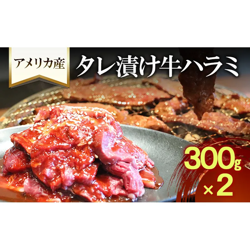 アメリカ産タレ漬け牛ハラミ　300g×２| 牛肉 焼肉 焼き肉 アウトドア BBQ 