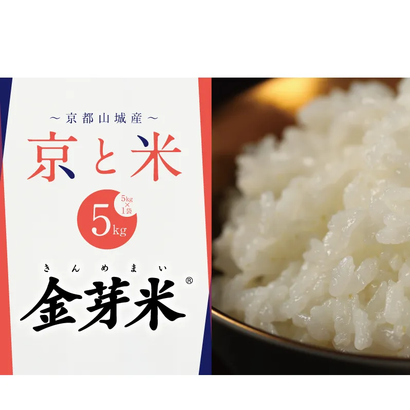 【先行予約】京都山城産 京と米  金芽米 5kg R7年度産 お米 米 ごはん おにぎり お弁当 健康 玄米の栄養 無洗米 糖質 カロリーオフ 時短 東洋ライス 京都府 京田辺市 kt2026
