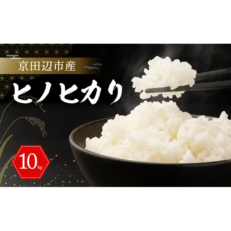 京田辺市産 ヒノヒカリ 10kg R7年度産 お米 米 こめ コメ 精米 白米 ごはん ご飯 弁当 おにぎり 防災 京田辺市 京都府 kt2026
