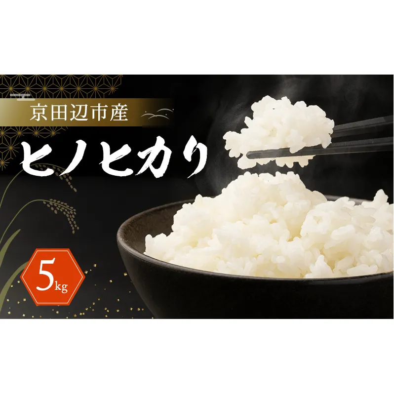 京田辺市産 ヒノヒカリ 5kg R7年度産 お米 米 こめ コメ 精米 白米 ごはん ご飯 弁当 おにぎり 防災 京田辺市 京都府 kt2026
