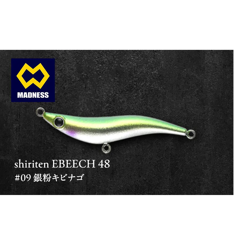 shiriten EBEECH 48 #09 銀粉キビナゴ