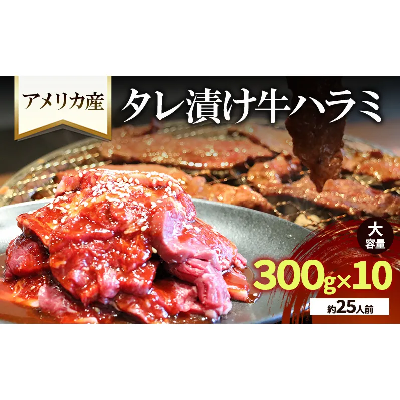アメリカ産タレ漬け牛ハラミ　大容量(約25人前) 300g×10 牛肉 焼肉 焼き肉 アウトドア BBQ