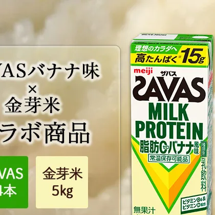 SAVASバナナ×金芽米5kgセット お米 プロテイン 期間限定 セットでお得 SAVAS ザバス ミルクプロテイン バナナ風味 200ml 24本 金芽米 5kg セット 明治 meiji 飲料 紙パック 無洗米 低カロリー 糖質オフ 高タンパク 時短 筋トレ 健康 ダイエット 脂肪0 新生活 一人暮らし まとめ買い 備蓄 常温保存 米 こめ コメ 白米 ふるさと納税 京都府 京田辺市 京都