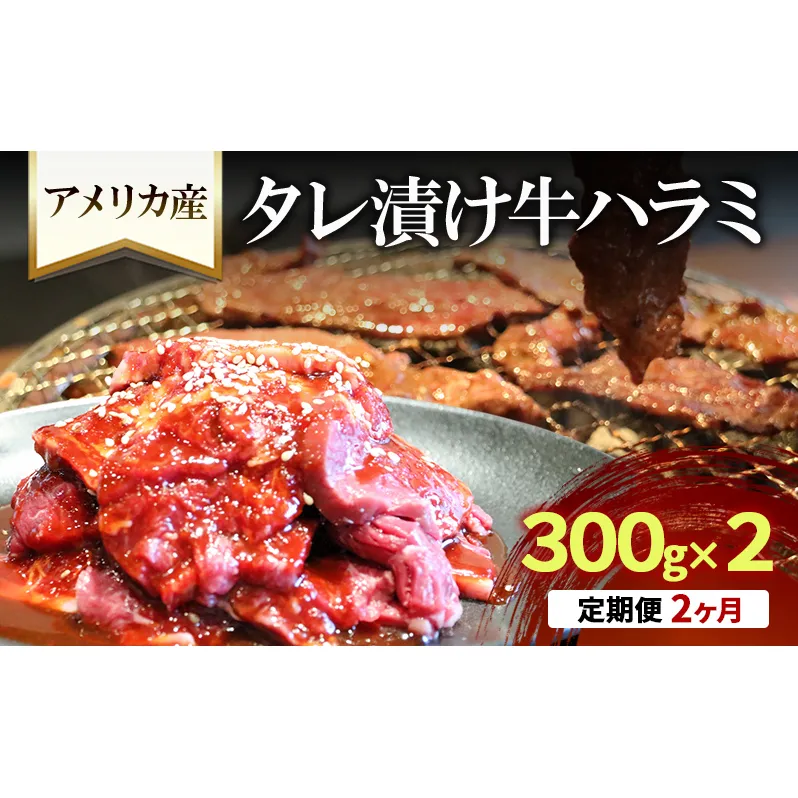 【2か月定期便】アメリカ産タレ漬け牛ハラミ　300g×2 | 牛肉 焼肉 焼き肉 アウトドア BBQ