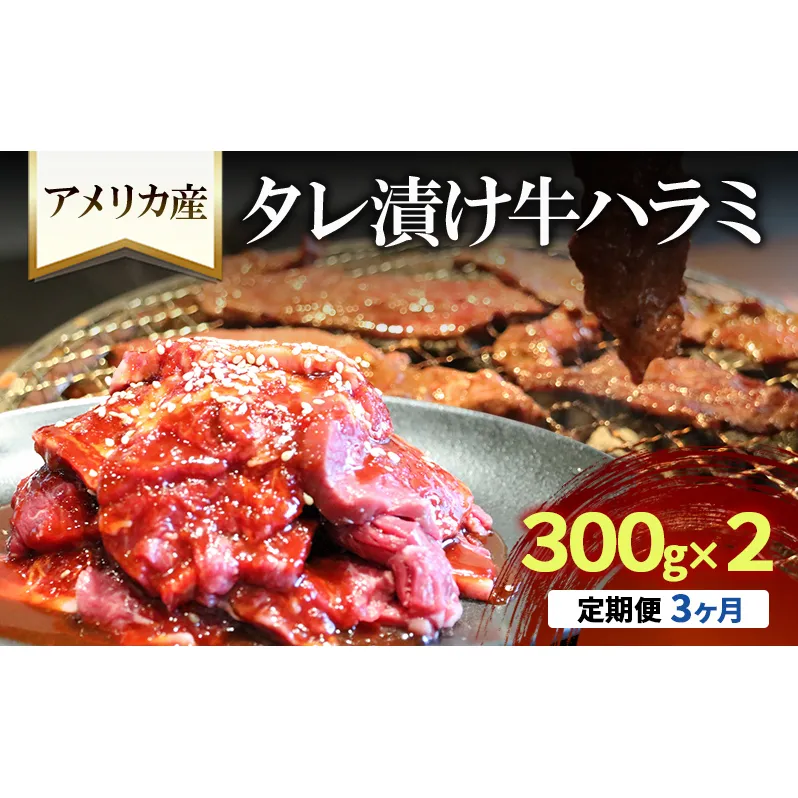 【3か月定期便】アメリカ産タレ漬け牛ハラミ　300g×2 | 牛肉 焼肉 焼き肉 アウトドア BBQ