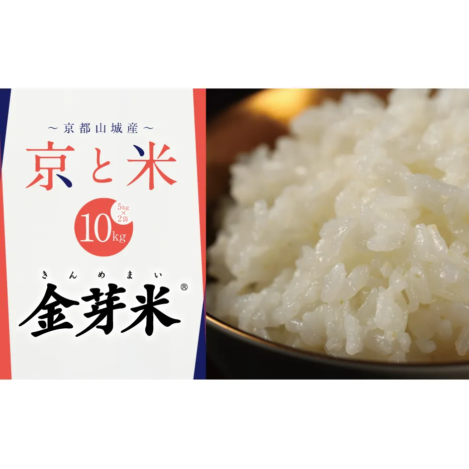 BG無洗米 京都山城産 京と米 金芽米 10kg R7年度産 ヒノヒカリ お米 米 ごはん おにぎり おいしい お弁当 健康 玄米の栄養 無洗米 節水 時短 東洋ライス 京都府 京田辺市 ヒノヒカリ キヌムスメ