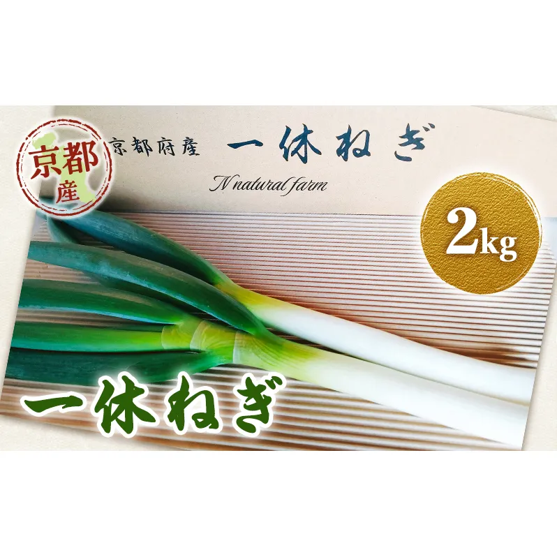 一休ねぎ 2kg 京都府 京田辺市 ネギ 野菜 京野菜
