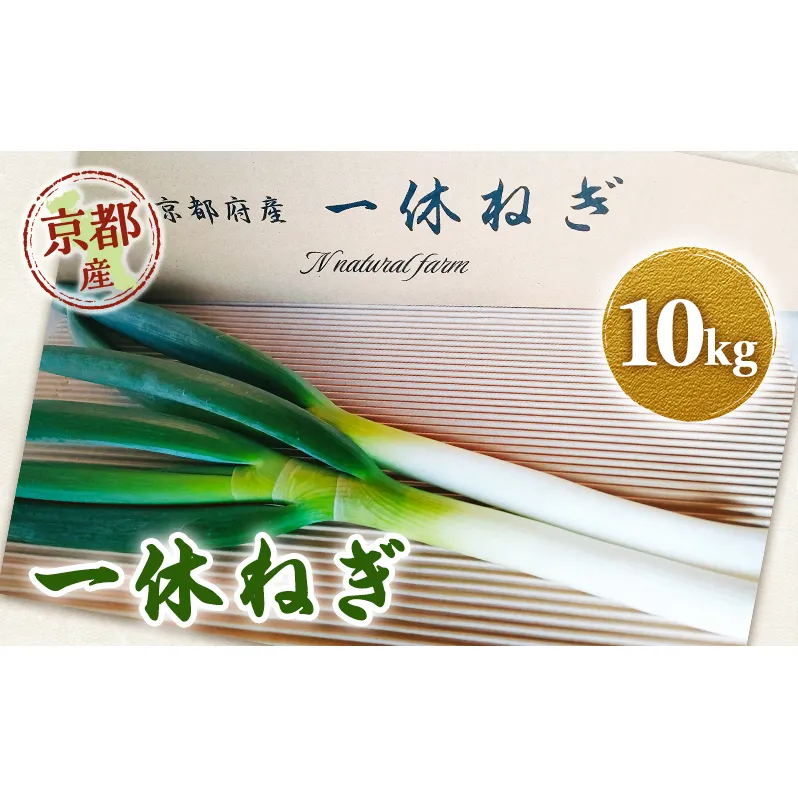 一休ねぎ 10kg 京都府 京田辺市 ネギ 野菜 京野菜