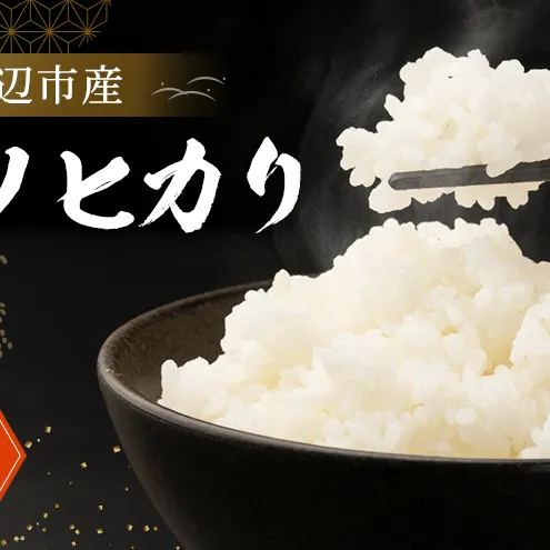 京田辺市産 ヒノヒカリ 5kg R7年度産 お米 米 こめ コメ 精米 白米 ごはん ご飯 弁当 おにぎり 防災 京田辺市 京都府 京都