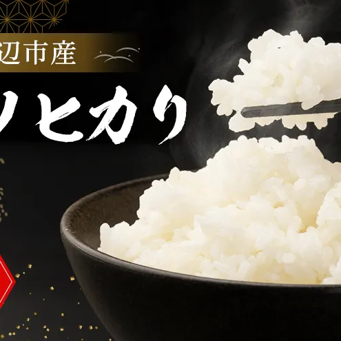 京田辺市産 ヒノヒカリ 10kg R7年度産 お米 米 こめ コメ 精米 白米 ごはん ご飯 弁当 おにぎり 防災 京田辺市 京都府