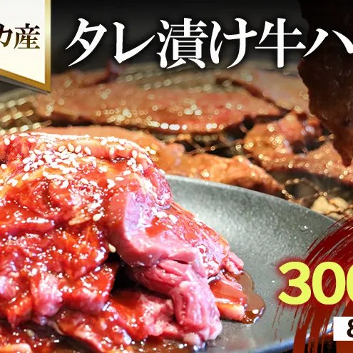 アメリカ産タレ漬け牛ハラミ 8～12人前 300g×4 牛肉 焼肉 焼き肉 アウトドア BBQ