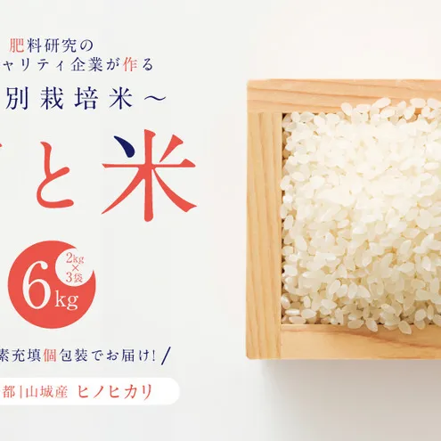 京都府京田辺市産 京と米 ヒノヒカリ 6kg (2kg×3袋) R7年度産 お米 米 こめ コメ 精米 白米 ごはん ご飯 弁当 おにぎり 真空 長期保存 防災 京田辺市 京都府 kt2026