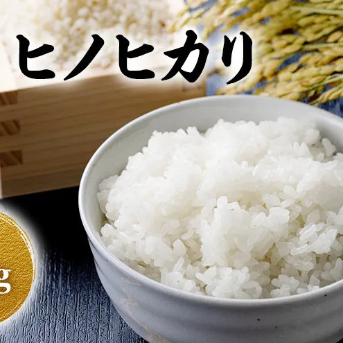 令和8年産 新米 ヒノヒカリ 5kg 米 コシヒカリ お米 ご飯 ごはん 精米 京都府 京田辺市