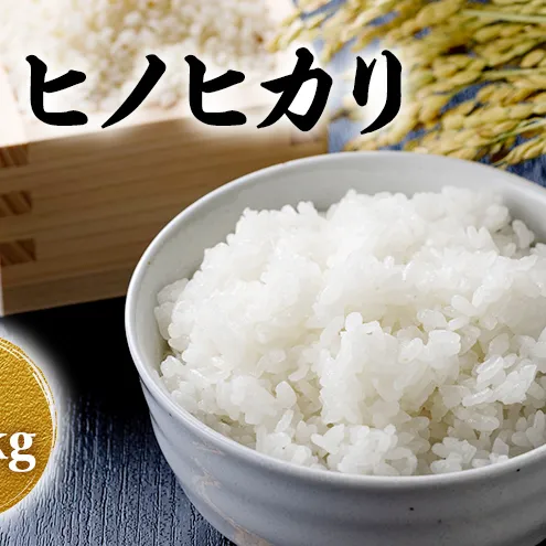 令和8年産 新米 ヒノヒカリ 10kg 米 コシヒカリ お米 ご飯 ごはん 精米 京都府 京田辺市